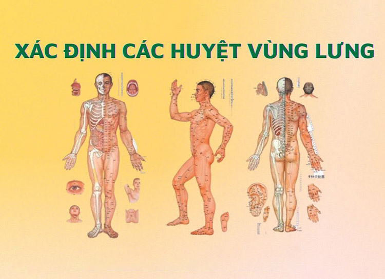 Huyet Vung Lung